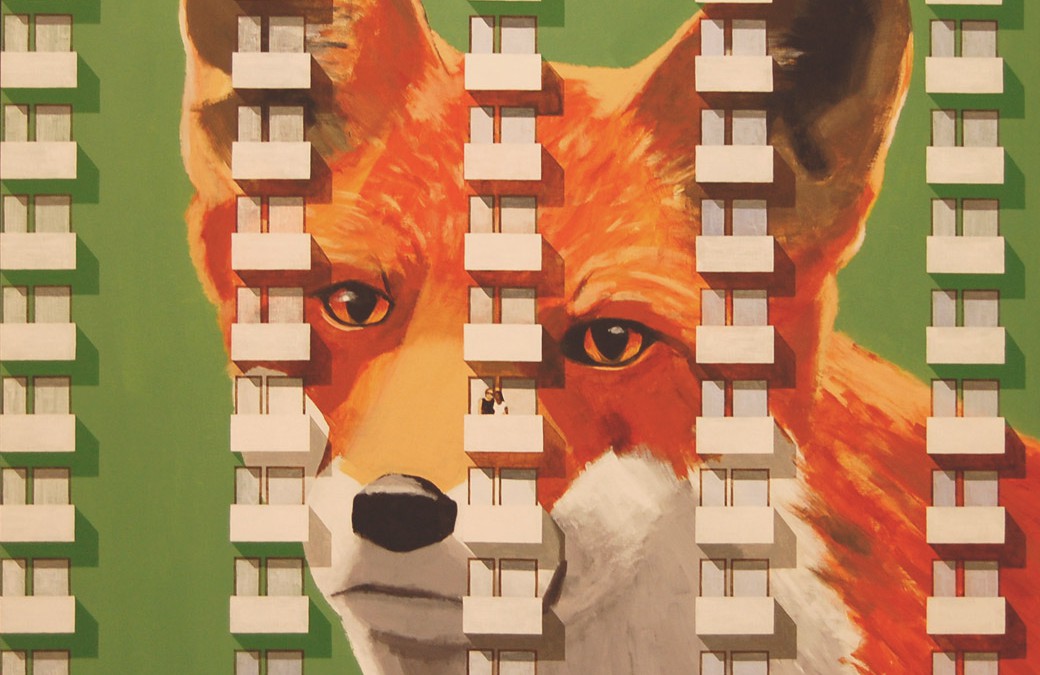 The fox and the millionprogram